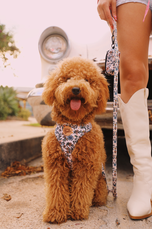 Wild Flowerz Harness Set - Peachy